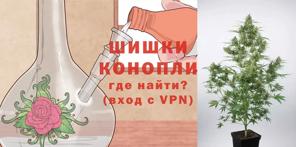 apvp Богданович